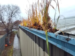 commercial gutter garden