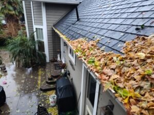 rain cleaning 1