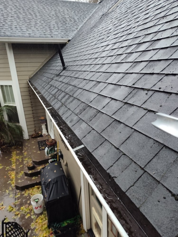 Clean Residential Rain Gutters