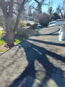 After picture of leaves covering a roof