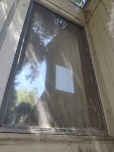 Window covered in dirt and cobwebs