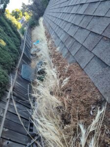 3c9ac2bf-14a3-4a4e-9088-806f91a5becd