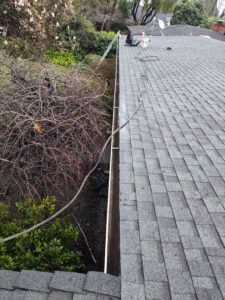 after picture of gutters that had tree branches removed from growing in them