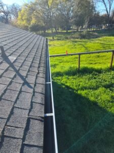 after picture of plants removed from gutters