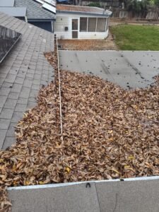 roof buried in leaves
